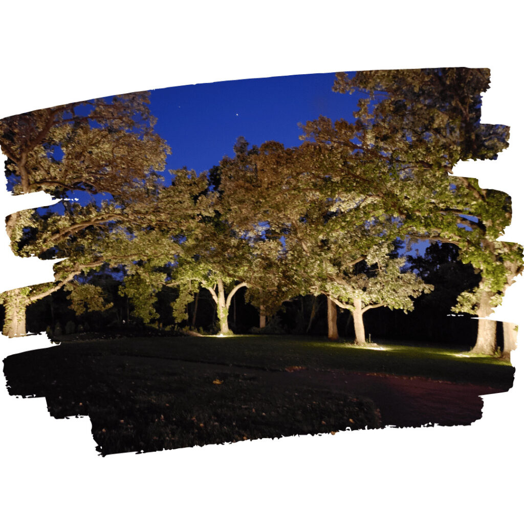 The Old Oaks Winery's beautiful oak trees are brought to life at night with well placed landscape lighting. 