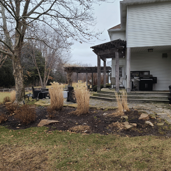 Before image of the Schroeder backyard transformation.